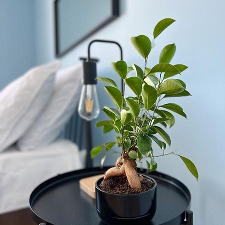 Apartamenty Rynek 7 Cieszyn  Kültér fotó