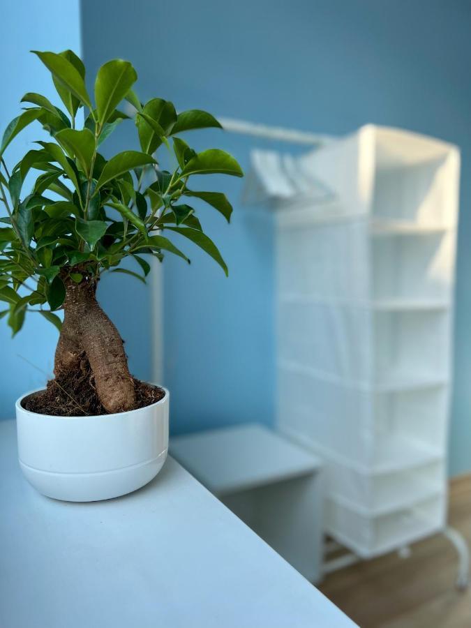 Apartamenty Rynek 7 Cieszyn  Kültér fotó